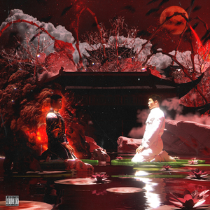 五月天丁香成人在线视频
